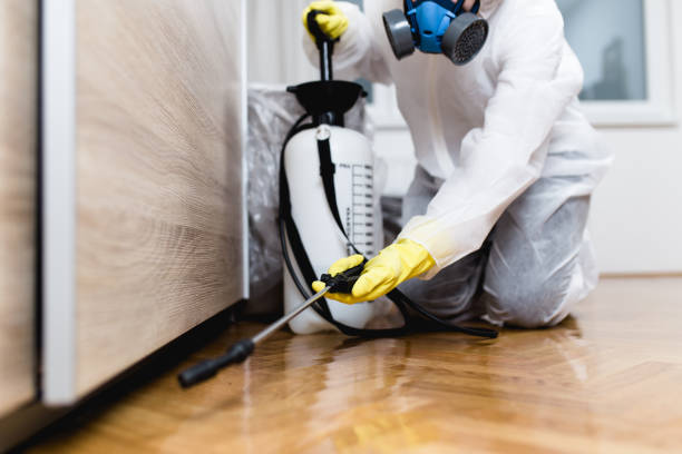 Best Residential Pest Control  in Laguna Woods, CA