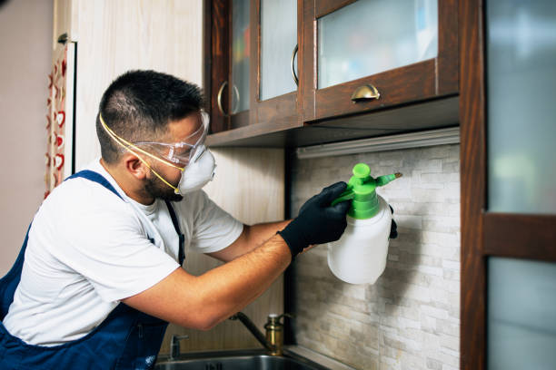Pest Control Cost in Laguna Woods, CA