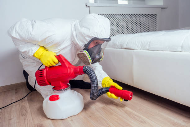 Best Best Pest Control Companies  in Laguna Woods, CA