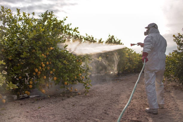 Best Best Pest Control Companies  in Laguna Woods, CA