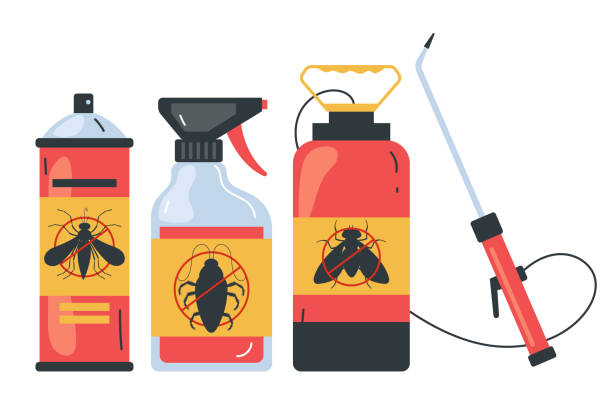 Best Termite Control Services  in Laguna Woods, CA