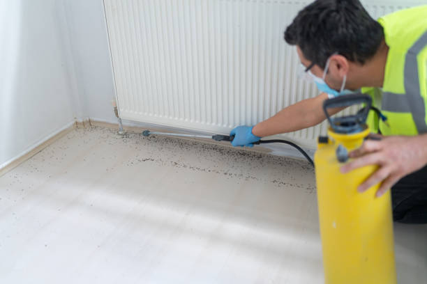 Best Affordable Pest Control Services  in Laguna Woods, CA